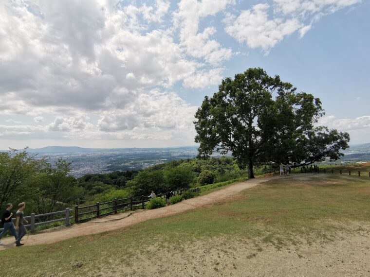 若草山からの奈良市街