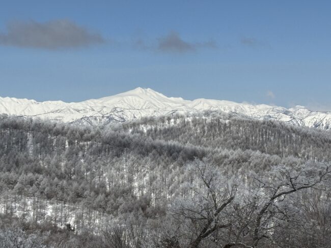 山頂からの景色