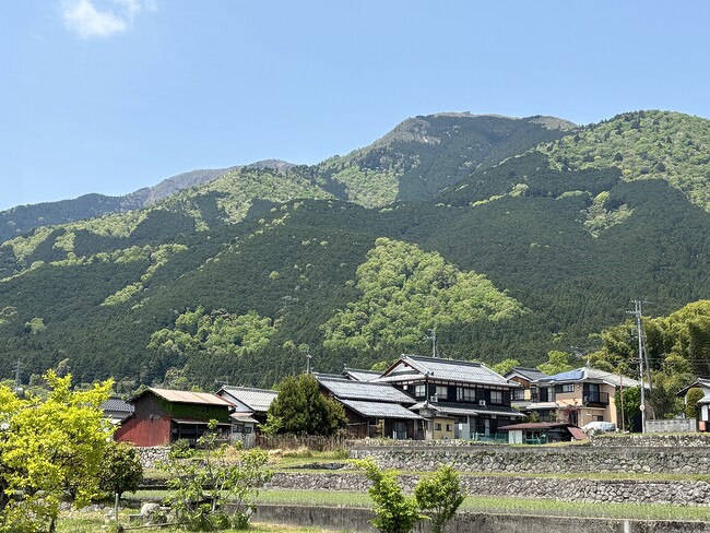 湖西の新緑