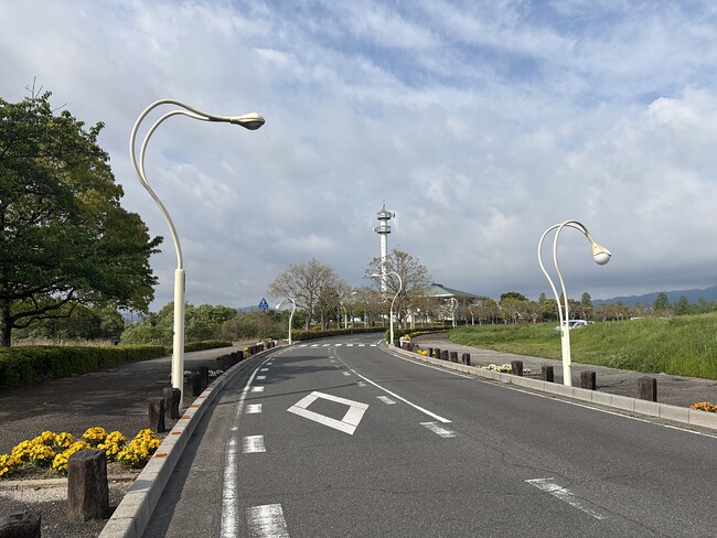 琵琶湖水族館近くの街灯
