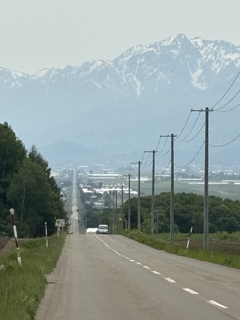 ここにもジェットコースターの道