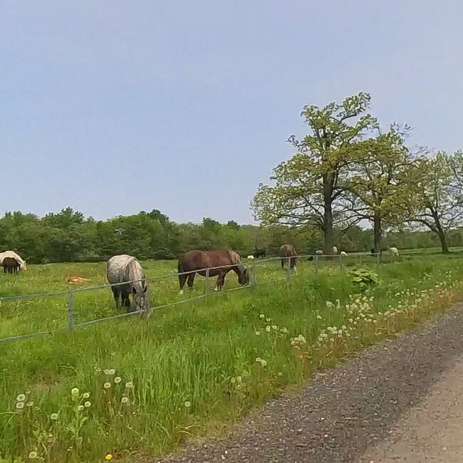 十勝牧場