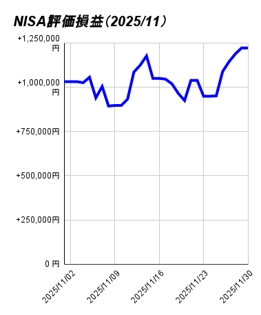 NISA評価損（2025_11）