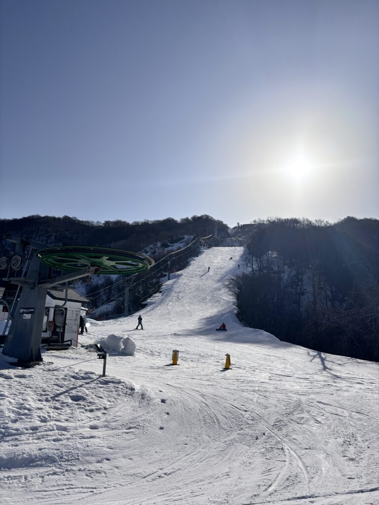 山頂からのコース