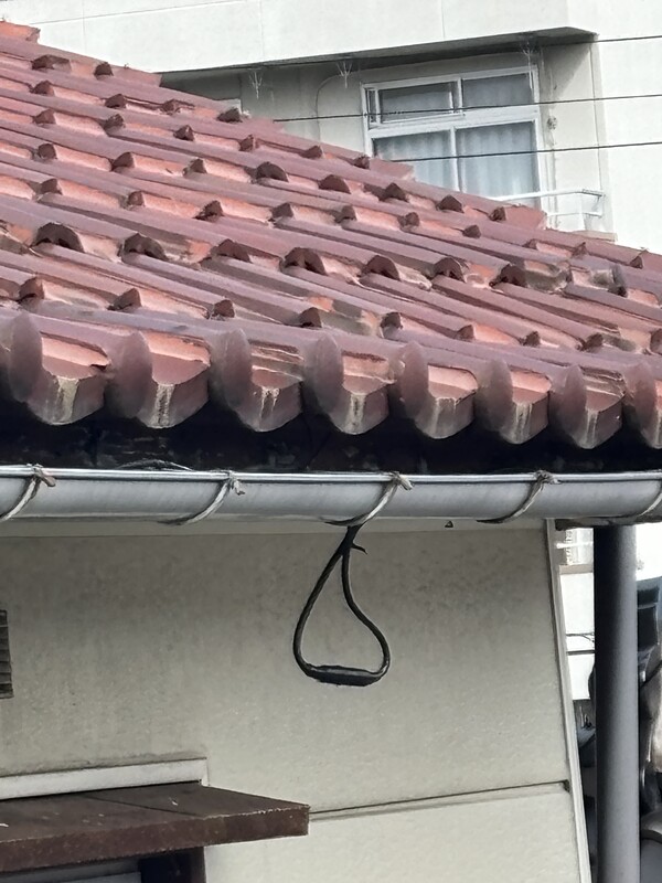 軒下のループ