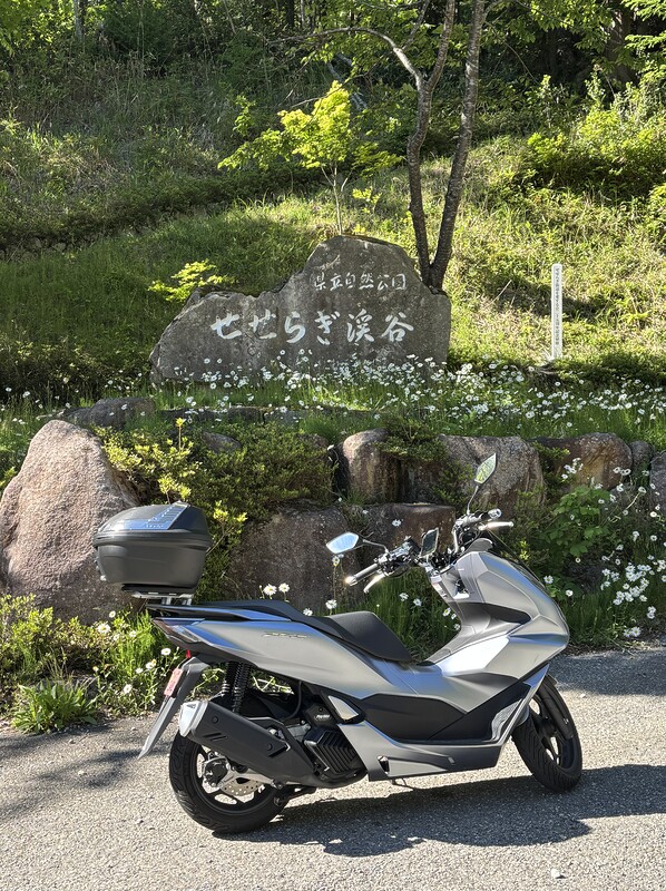 せせらぎ渓谷